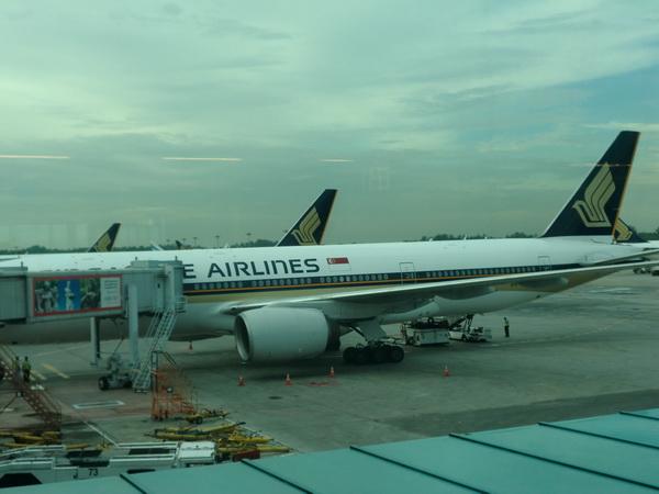 CIMG0588_resize.JPG
